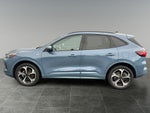 2024 Ford Escape ST-Line Elite