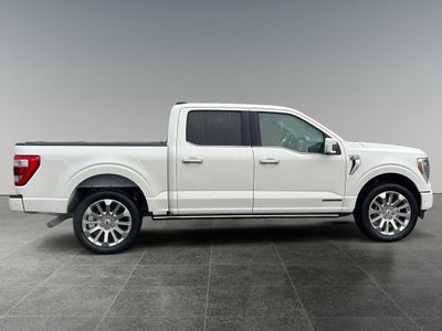2023 Ford F-150 Limited