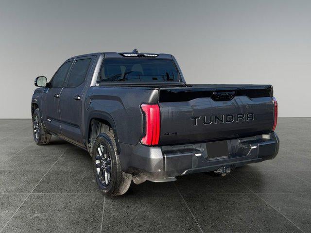 2023 Toyota TUNDRA 4X4 Platinum