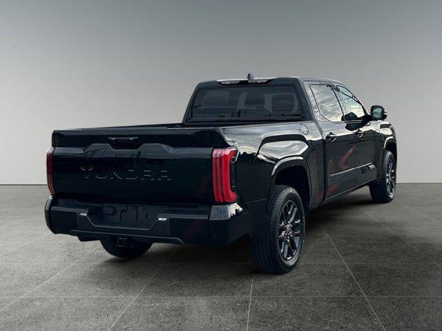 2023 Toyota TUNDRA 4X4 Platinum