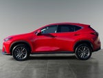 2023 Lexus NX 350h Base