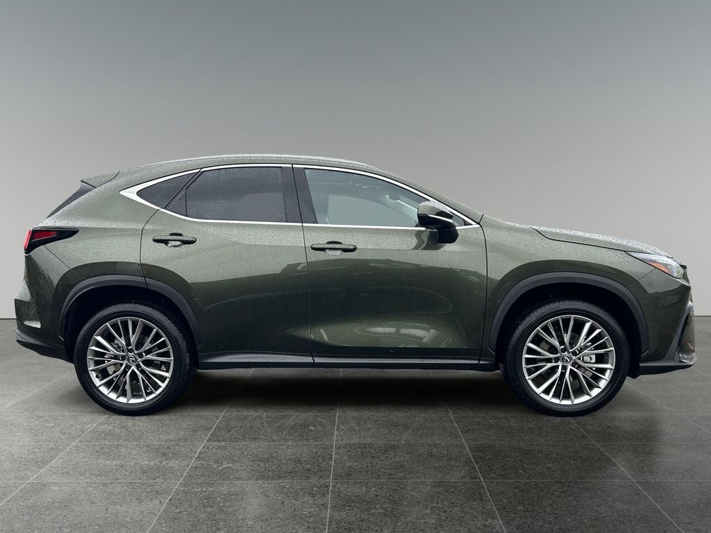 2025 Lexus NX 350h Premium