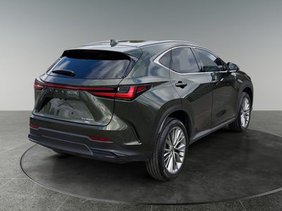 2024 Lexus NX 350h Luxury