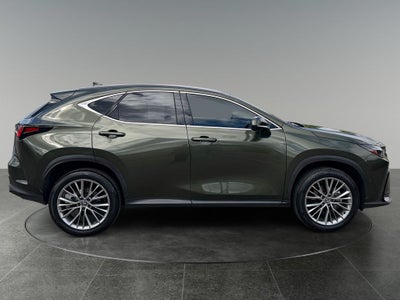 2024 Lexus NX 350h Luxury