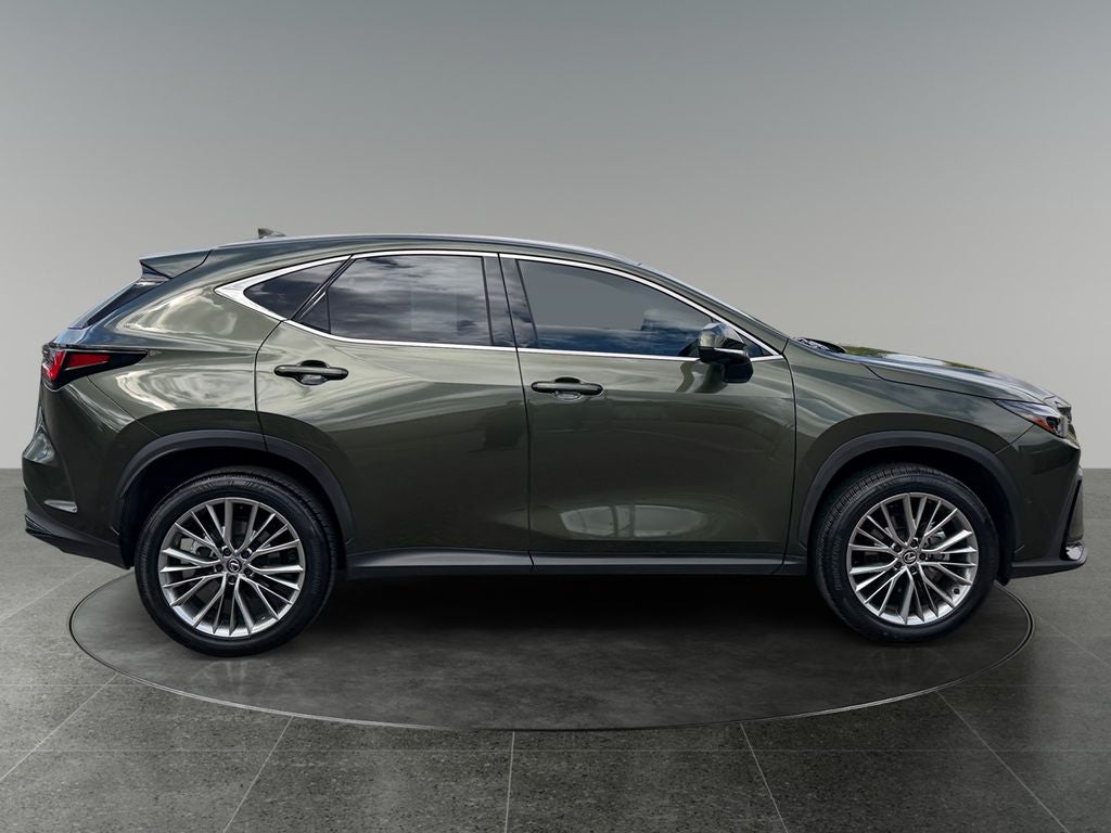 2024 Lexus NX 350h Luxury