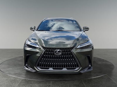2024 Lexus NX 350h Luxury