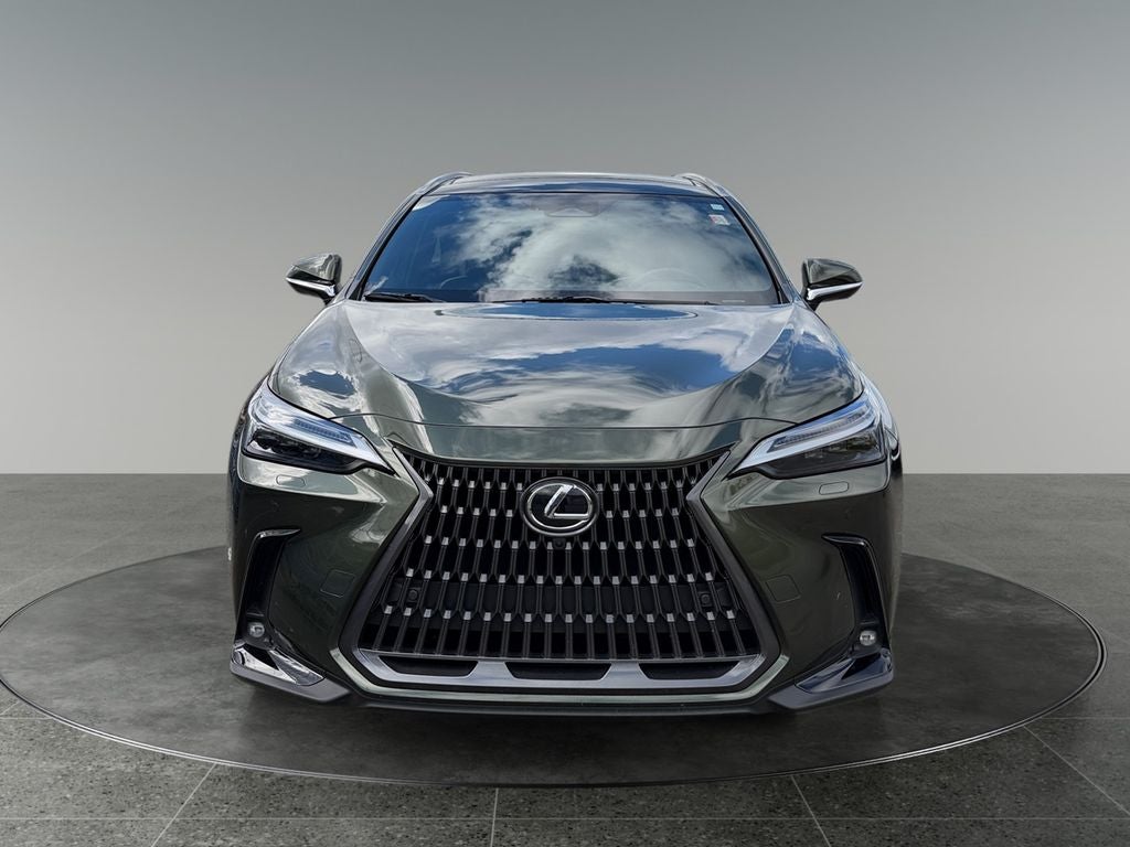 2024 Lexus NX 350h Luxury