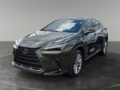 2024 Lexus NX 350h Luxury