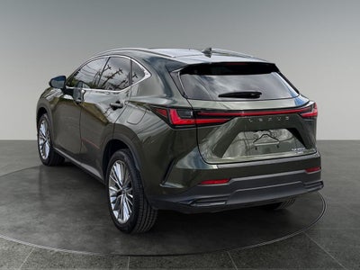 2024 Lexus NX 350h Luxury