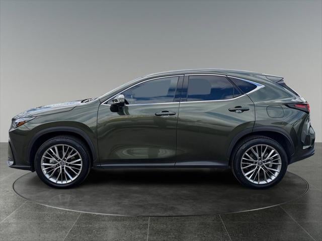 2024 Lexus NX 350h Luxury